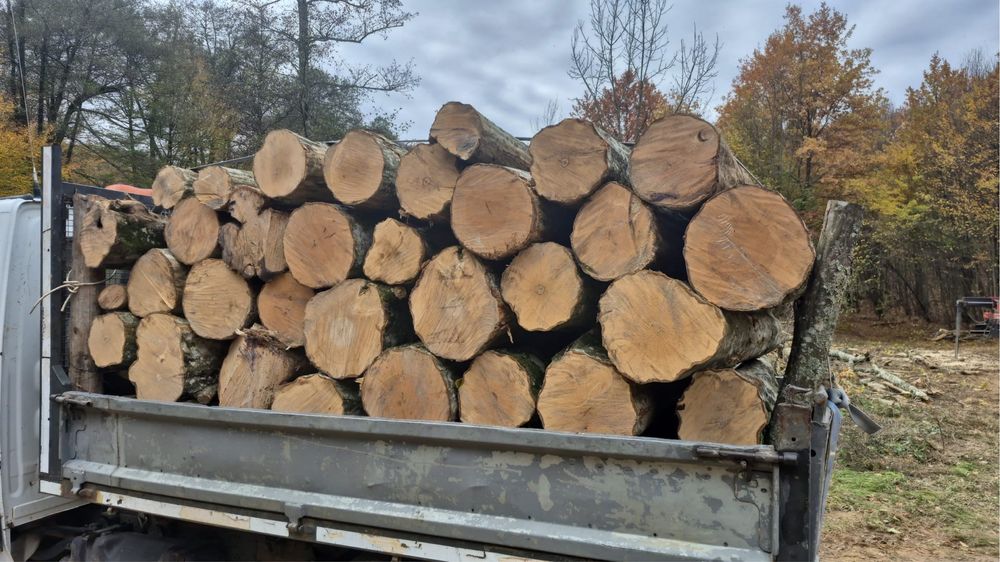 Lemne de foc disponibile