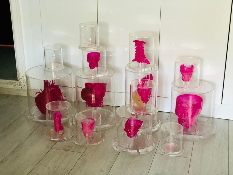 Set medical 3D craniu,diverse in cutii plexiglass