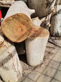 lemne de nuc     bune ptr orce