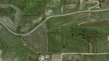 Маслинова горичка за продажба в Неа Рода, Халкидики, 5827 м² - Гърция