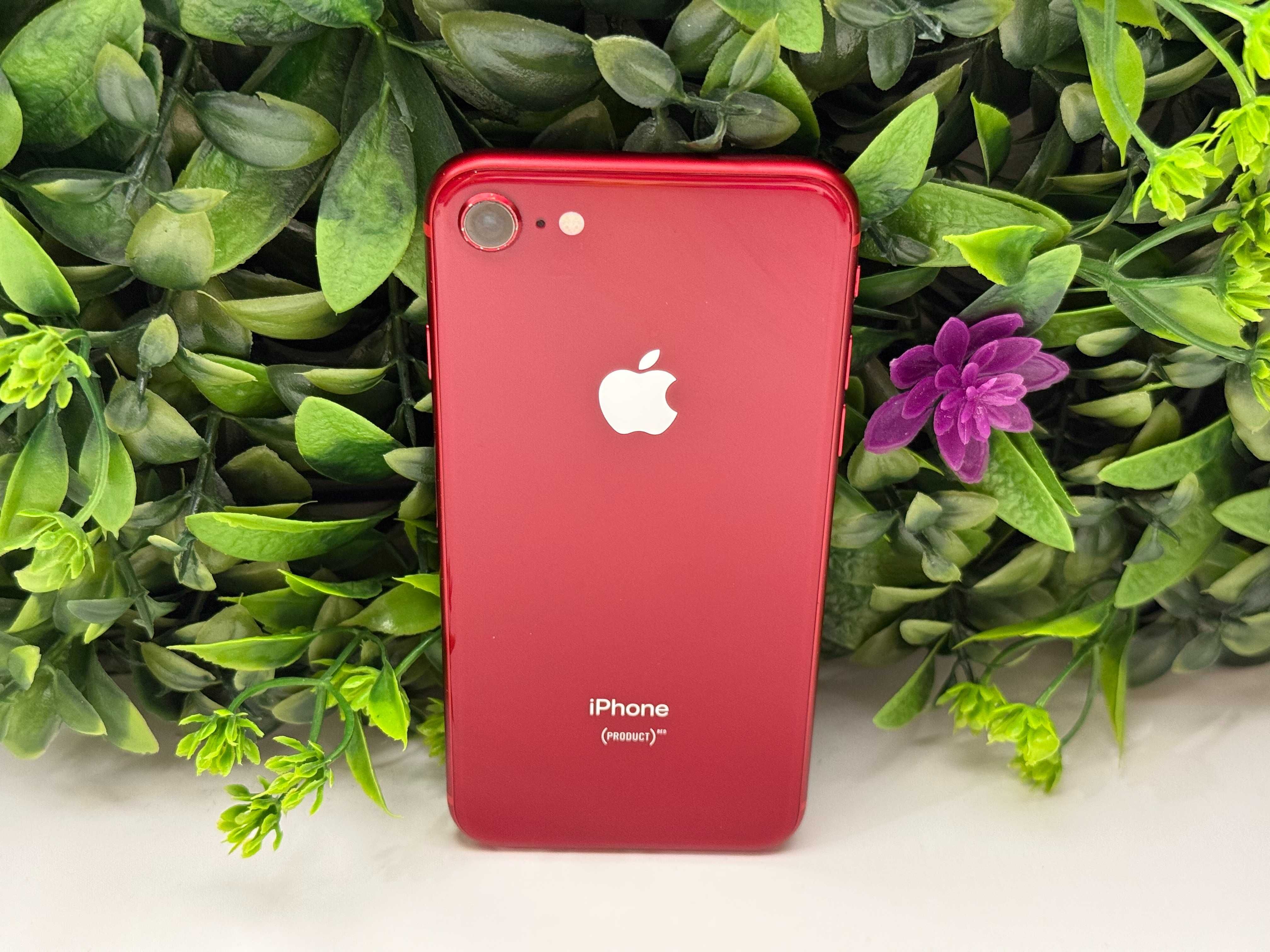 iPhone 8 64GB 100% Red