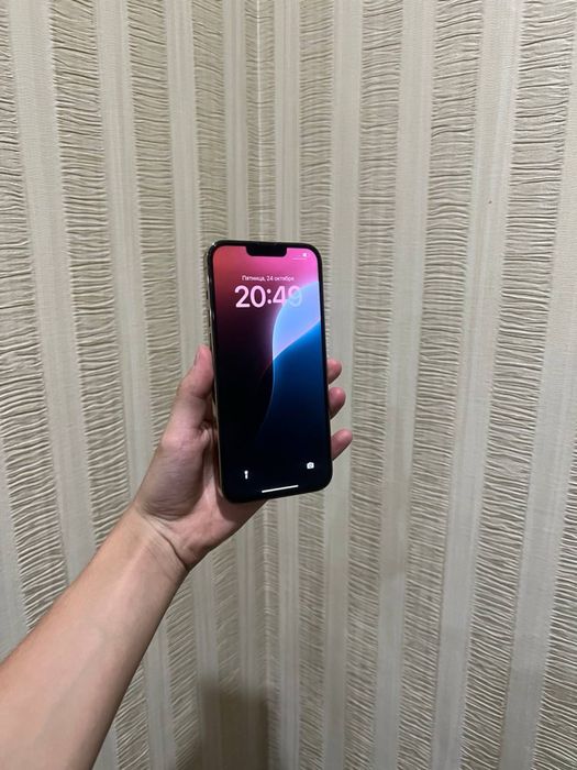 iPhone 13 Pro Max