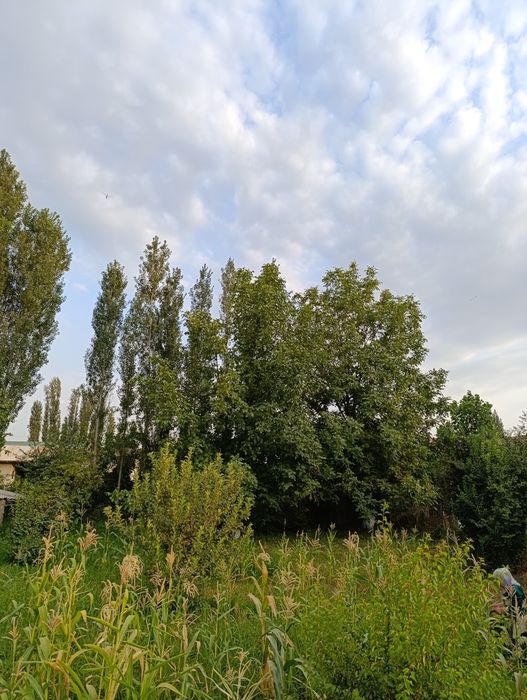 YER SOTILADI 3. SOTIK  Fut sitida 9 km avangart boyqorgon srochna sot