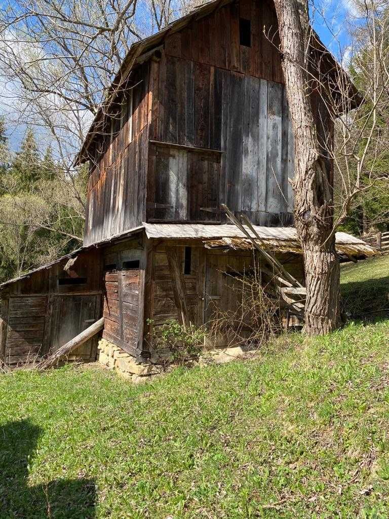 Teren 41.541 m² în Moldovița, Bucovina – 105.000 €