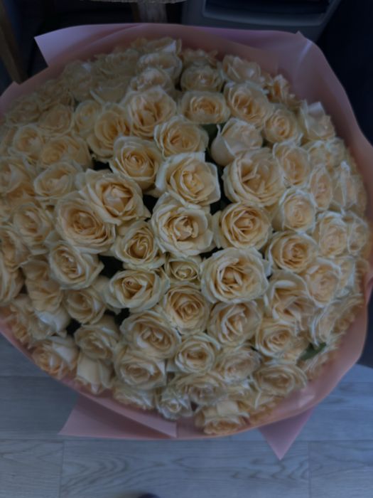 Продам 101 розу свежие