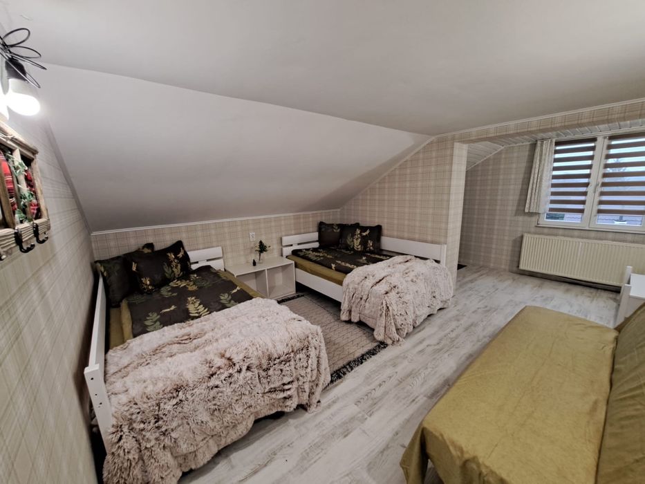 Cabana Borzia/Rastolita Mures (liber craciun)