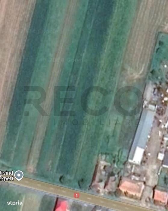 RECO Teren intravilan  Urvind