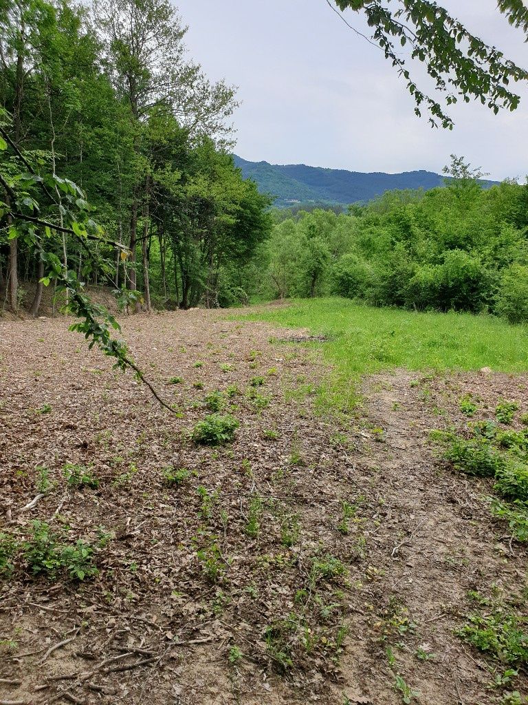 Продава се Парцел в Априлци - 2200 кв.м за 8 €/кв.м - Снимка #8