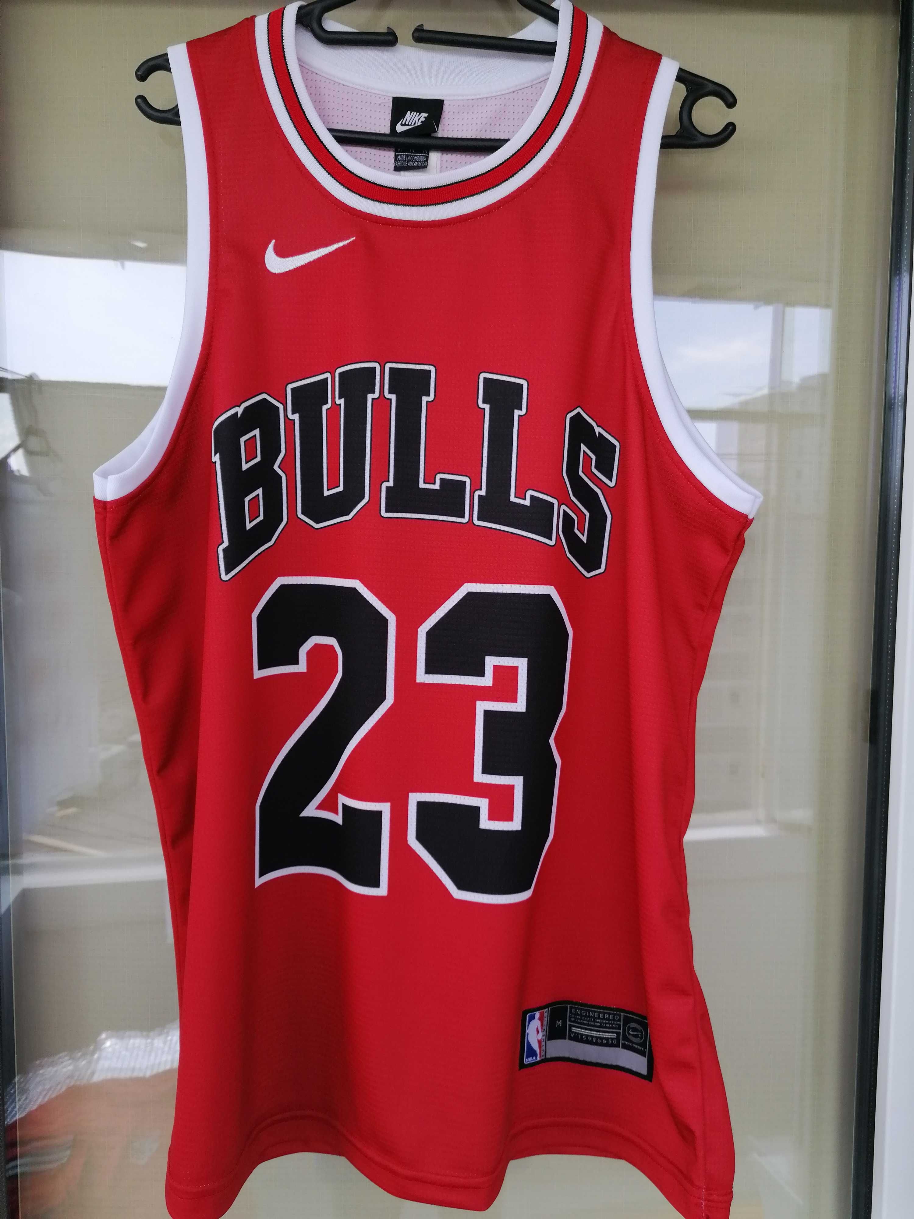 Maieu Chicago Bulls
