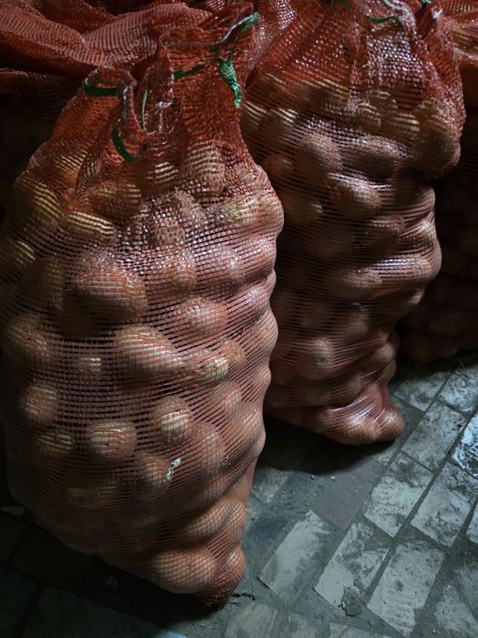 Картошка домашняя.