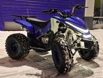 Квадроцикл Sharmax 180 Cross RX