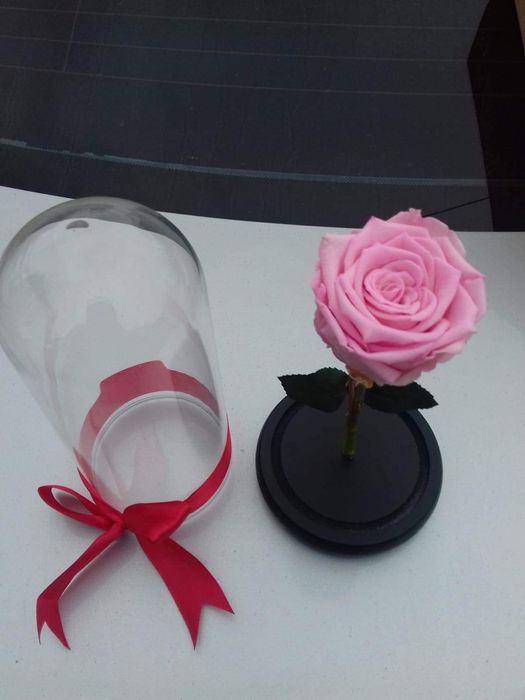 Trandafiri criogenati cadou Mihail si Gavril