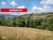Casa de vacanta, 4 camere, teren 18000mp