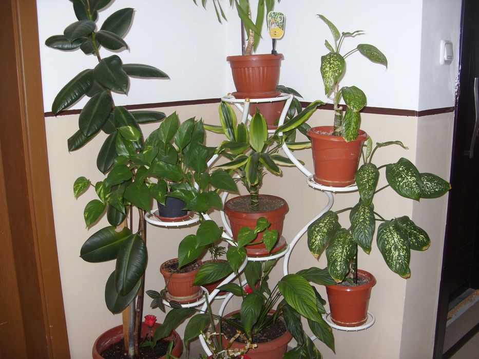 фотоапарат Samsung S1060   10.2 МРх