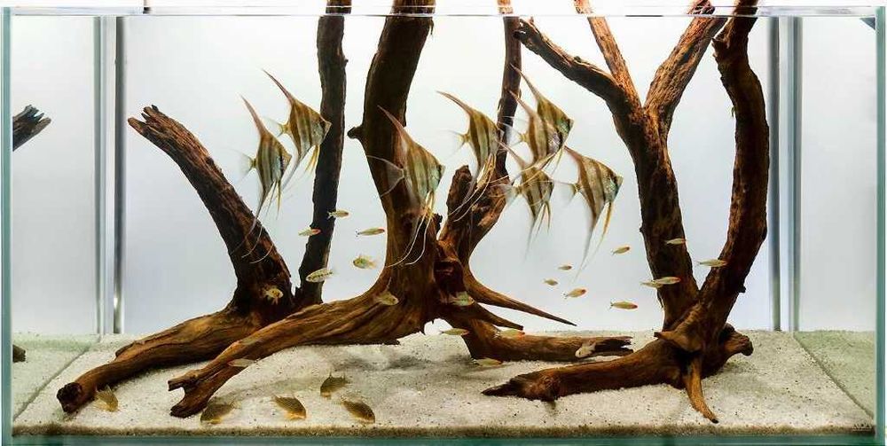 Обслуживание аквариумом на дому и в офисе.