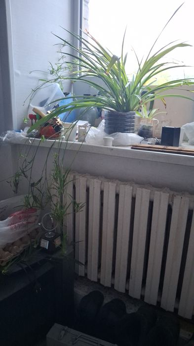 Возьму в аренду жильё,на один месяц