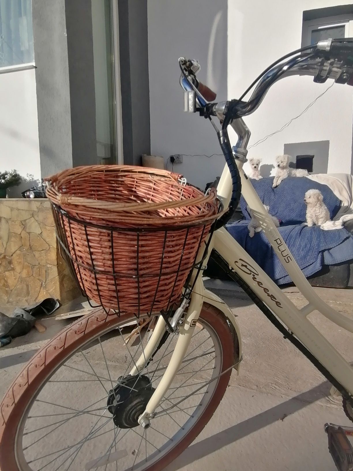 Bicicleta electrică