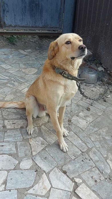 Арчи в ответственные руки