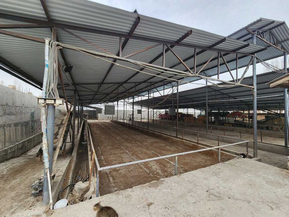 Готовый объект для инвестиций, Ready object for investment, 可供投资的现成标的