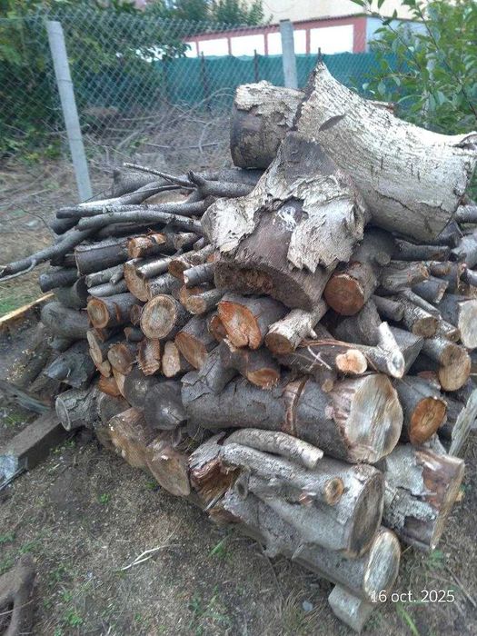 Lemne Foc la jumatate de pret Constanta