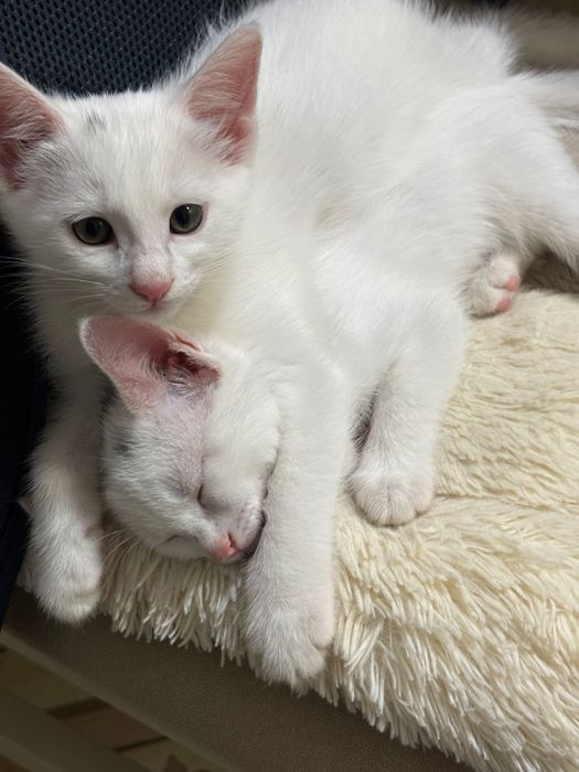 Прежде чем звонить, читайте!!!