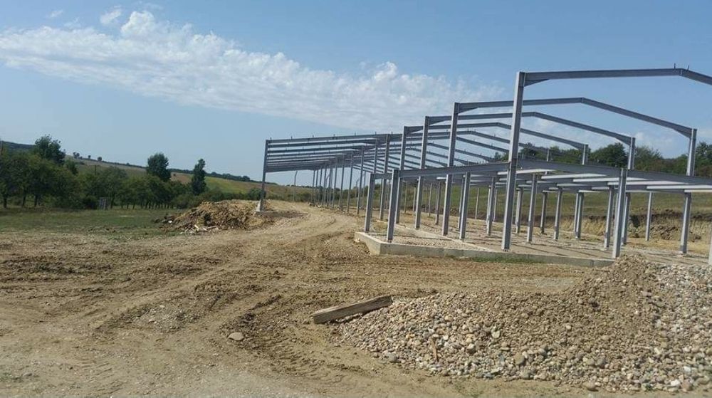 Vand hale metalică 7x20h4