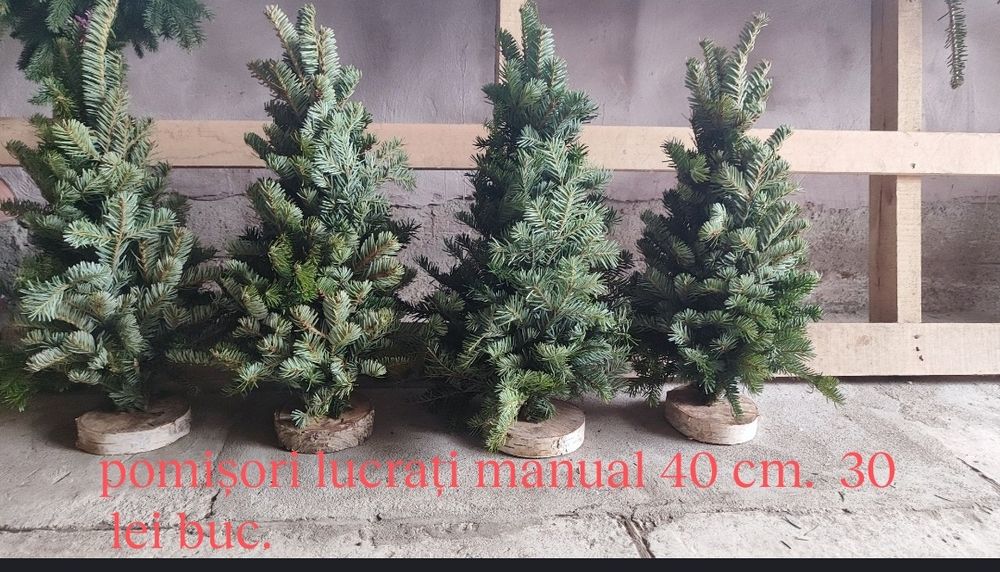 Coronite ,Coroane, ghirlande ,  Brad Natural