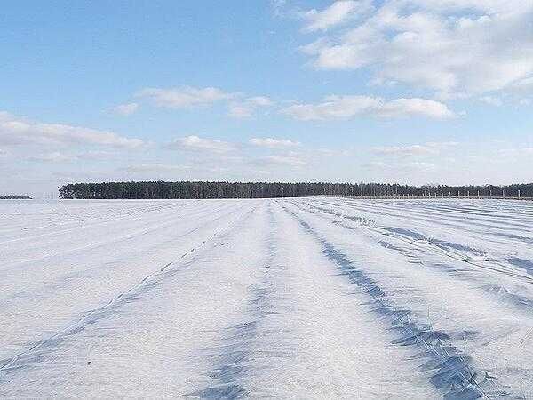 Промоция на Агрил от  17g/m² до 23g/m² ГОЛЕМИ РАЗМЕРИ