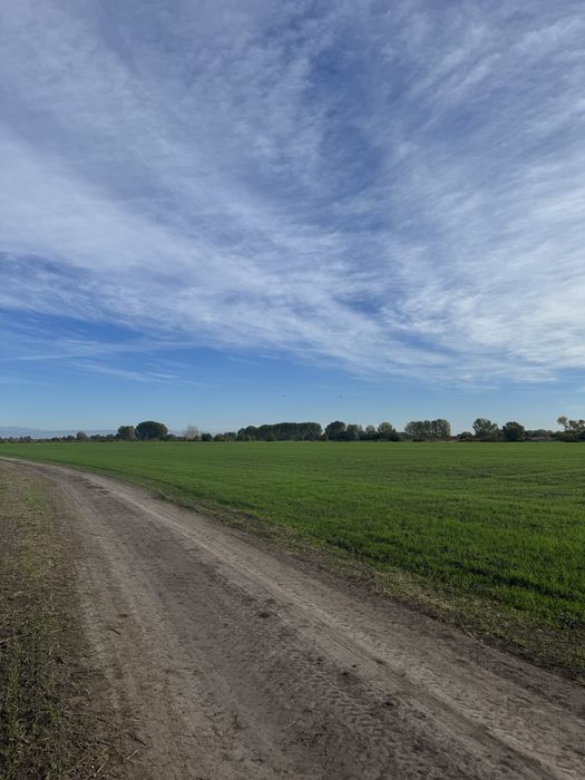 Имот с.Ягодово,обл.Пловдив