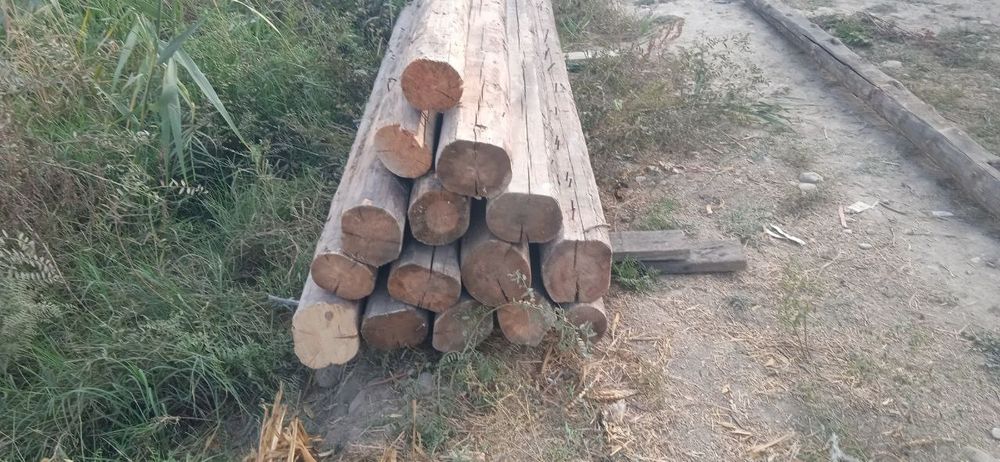 12 та тусин бор срочно сотилади 3.10