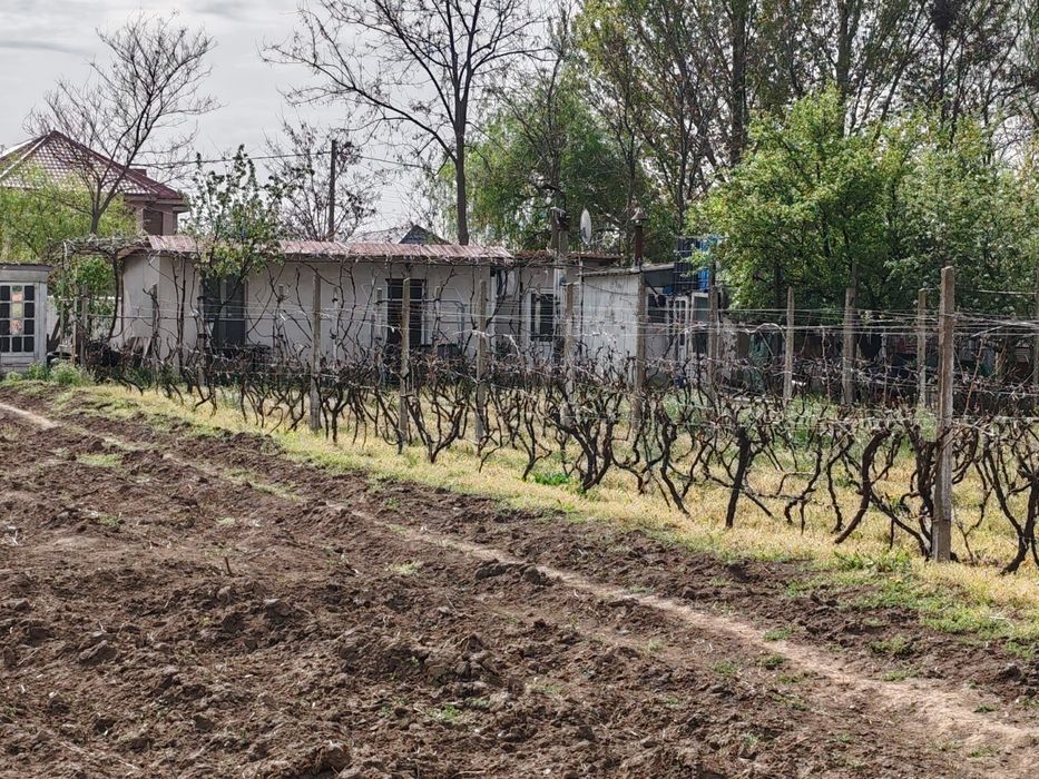 Vand , inchieiez casa gropeni