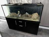 Голям аквариум за рибки с шкаф
