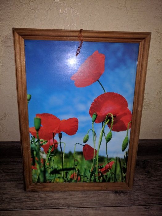 Рамка А4, фоторамка  станция метро Москва