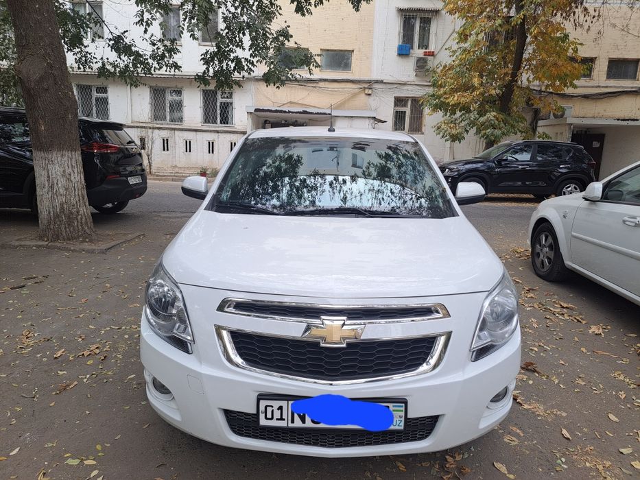 Кобольт 2023 йил 55000 краска тоза сотилади