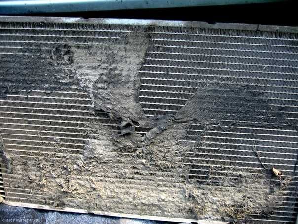 Промывка радиаторов от грязи и пуха не снимая с машины не (Керхером!)