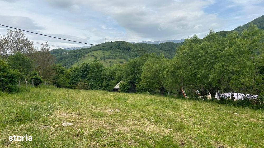 Teren Moieciu cu vedere catre Piatra Craiului