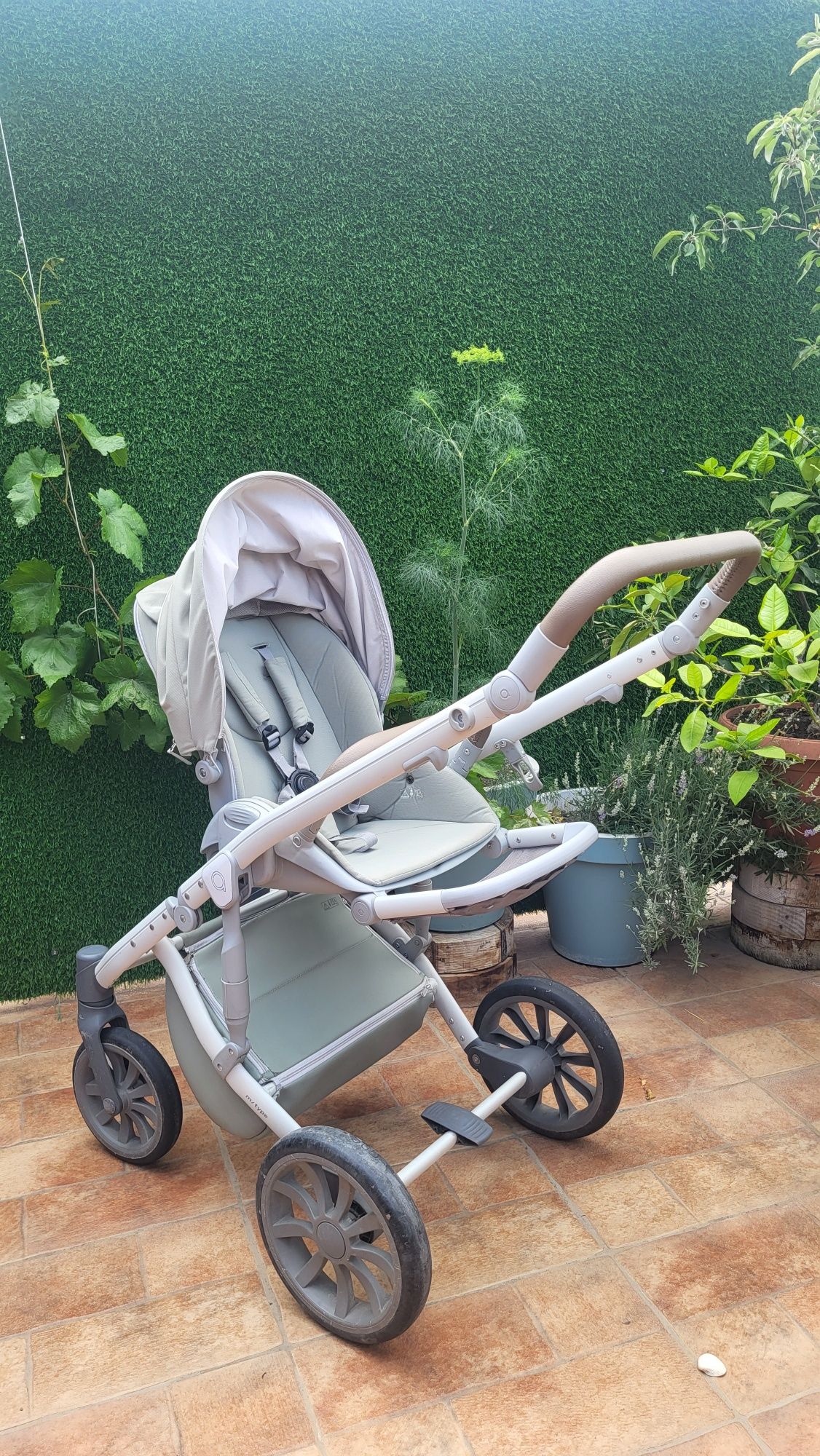 Anex M type mint