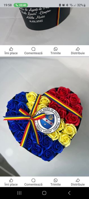 juramant jandarmi,armata,politie