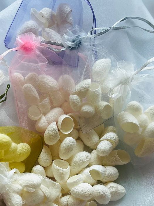 Копринени пашкули – естествена грижа и вдъхновение от природата