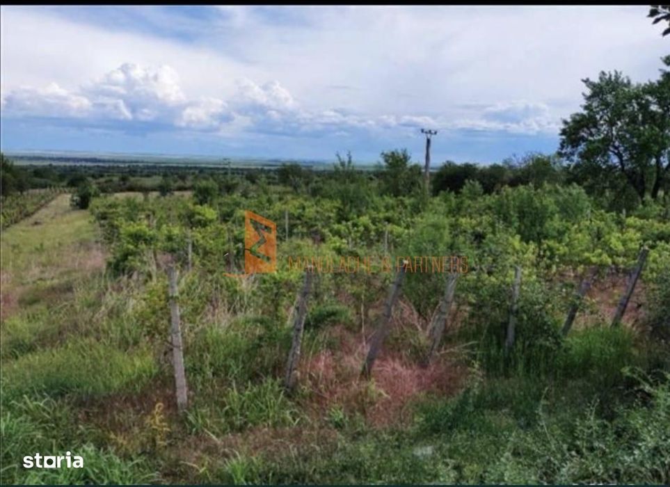 Teren intravilan zona Pietroasele