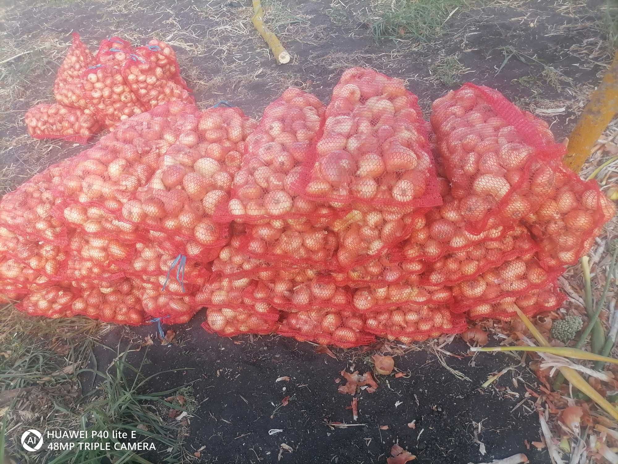 Продавам български лук