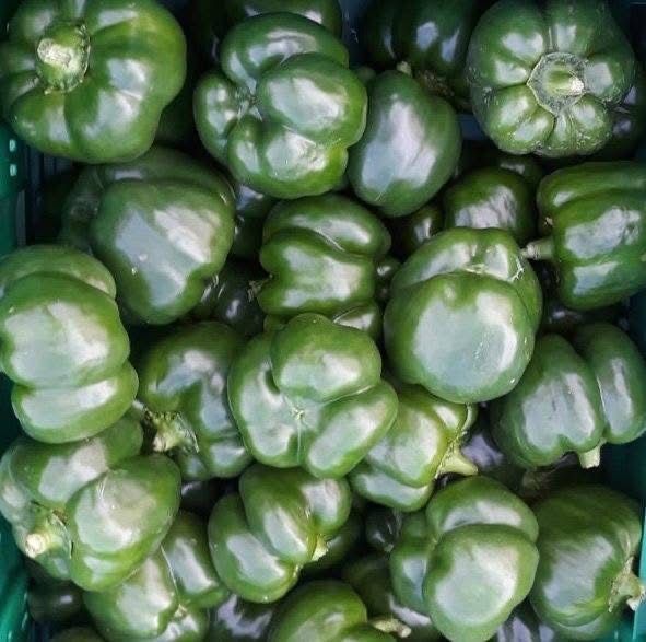 Ardei si gogoşari verzi