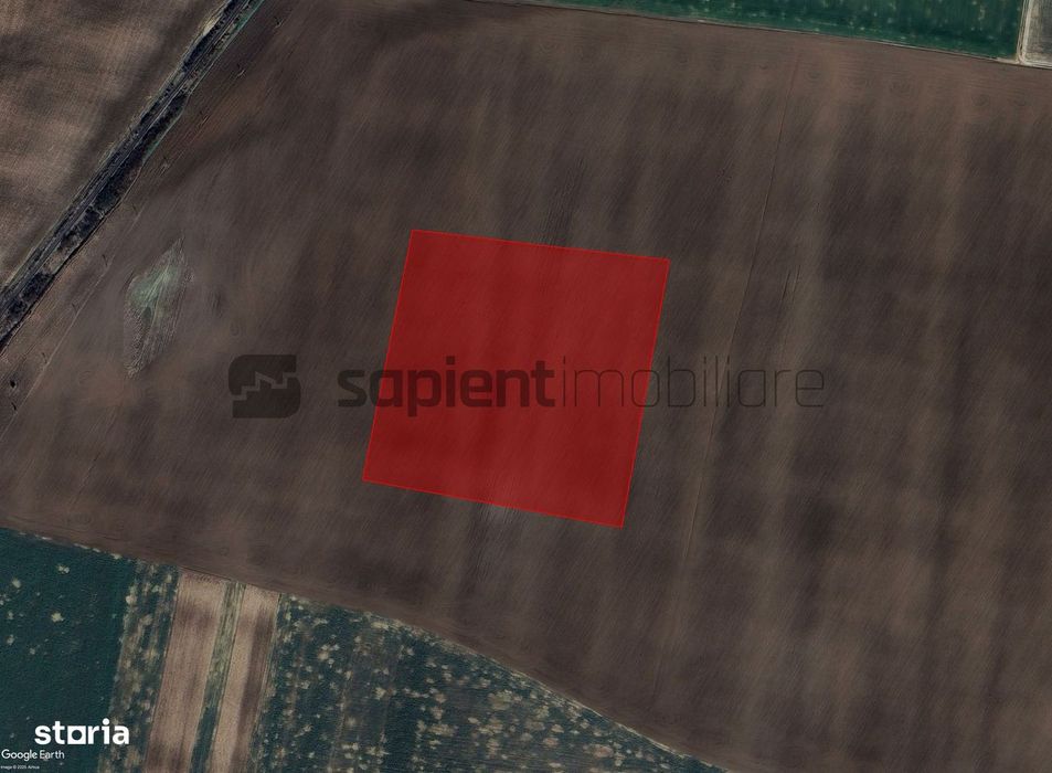 Sapient | Teren extravilan _ zona Calea Aradului - Aeroport