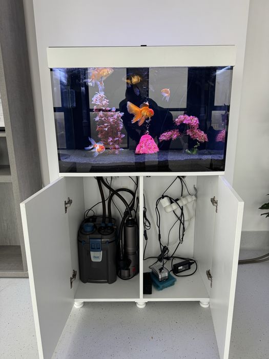 Acvariu Complete with Fish