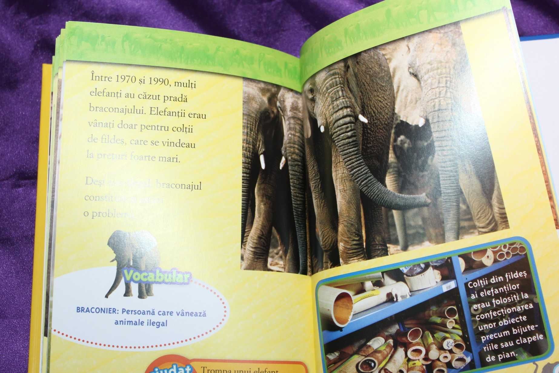 carti pentru copii educative Migratia elefantilor Lumea Spatiul cosmic