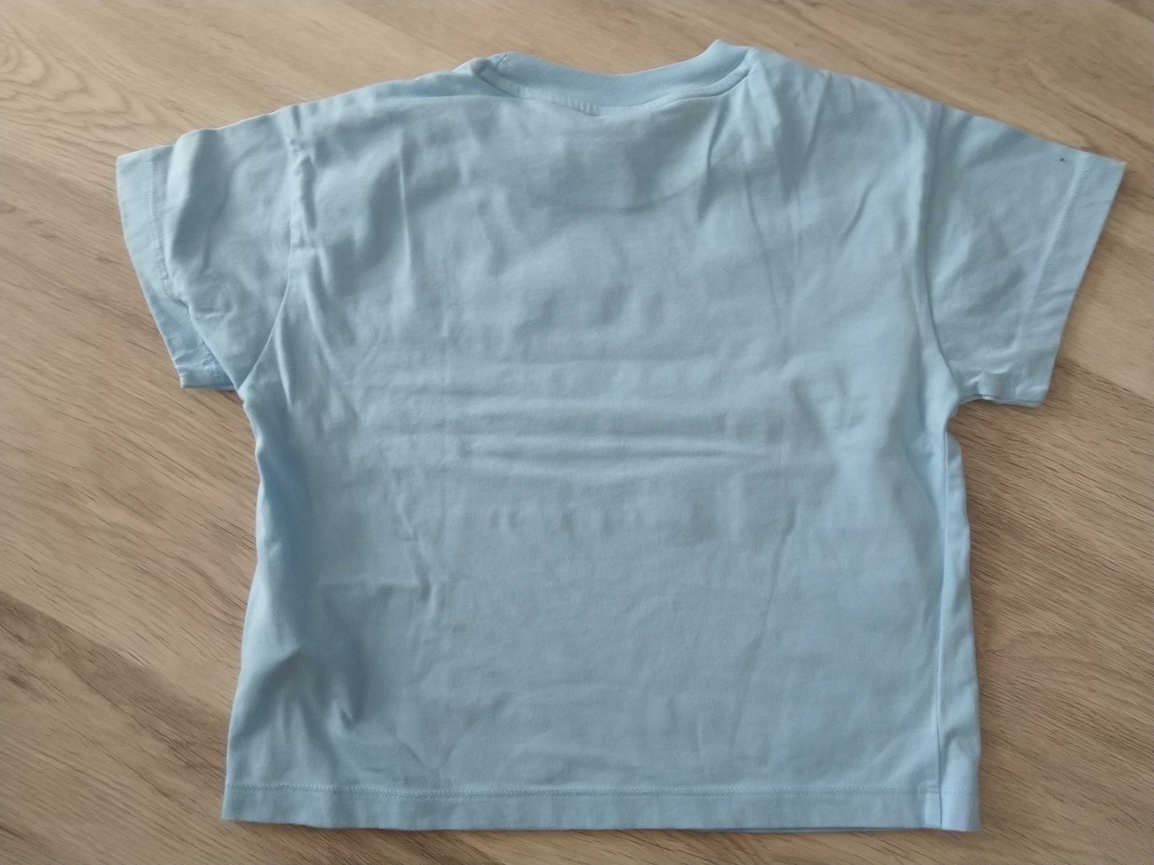Tricou Champion 11/12 Y 150/155