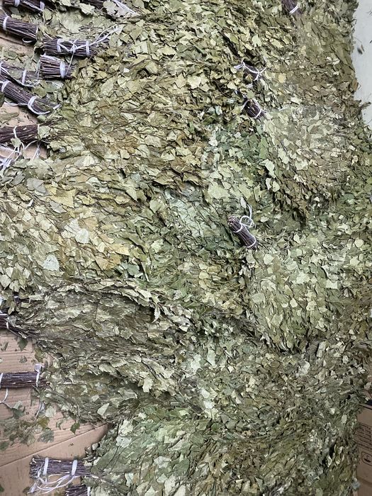 Веник березовый банный