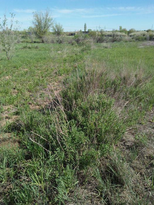 Дачный участок в коллективе ВАСЮКИ