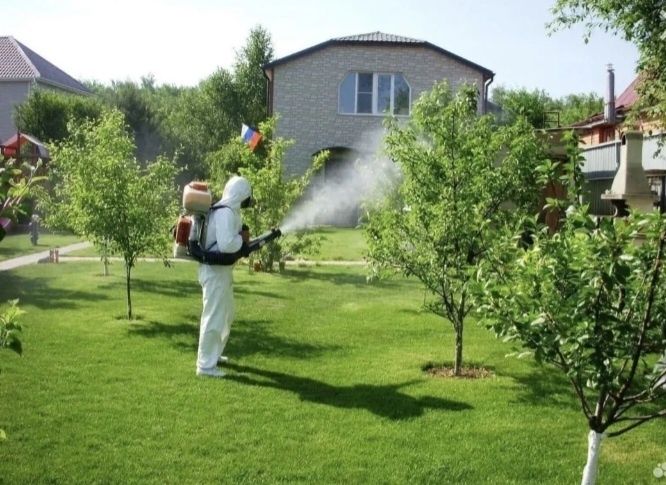 Хашоратларга карши кураш богбонлар фермерлар учун