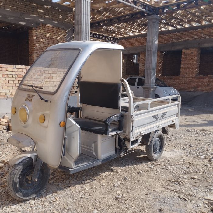 Электрони муравей